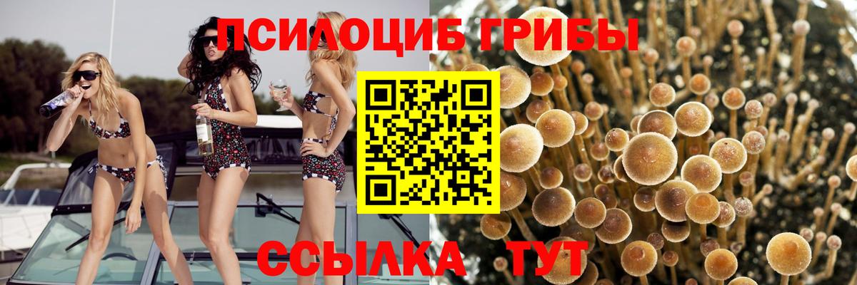 Галлюциногенные грибы мицелий Алушта